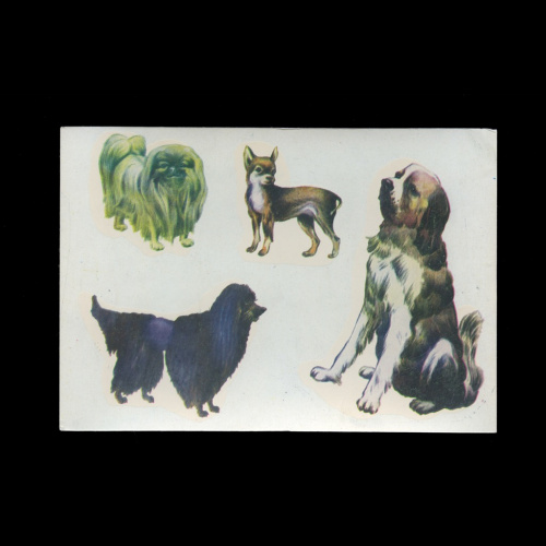 Наклейки переводные, сдвижные картинки «Собаки». Размер 10×14,5 см 1987