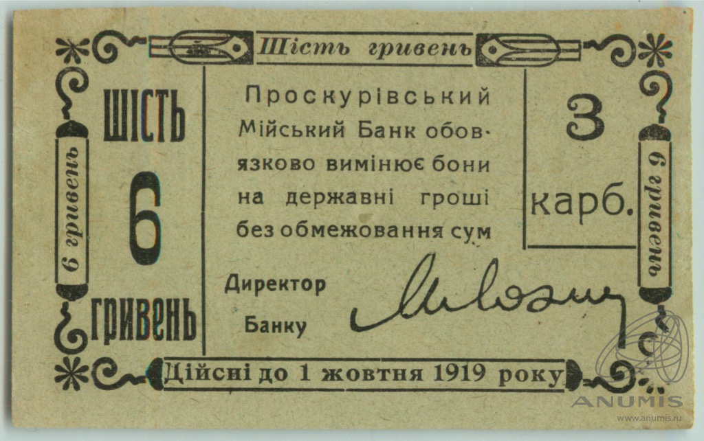 Бонни банк. Проскуровская городская управа 1919 года.