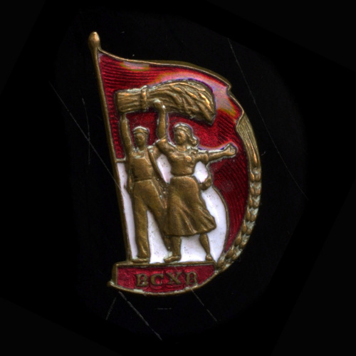 Знак «ВСХВ». Крепление: булавка. Эмаль