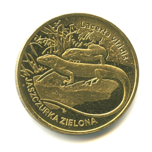 2 злотых — Зелёная ящерица. Всемирная природа. 2009
