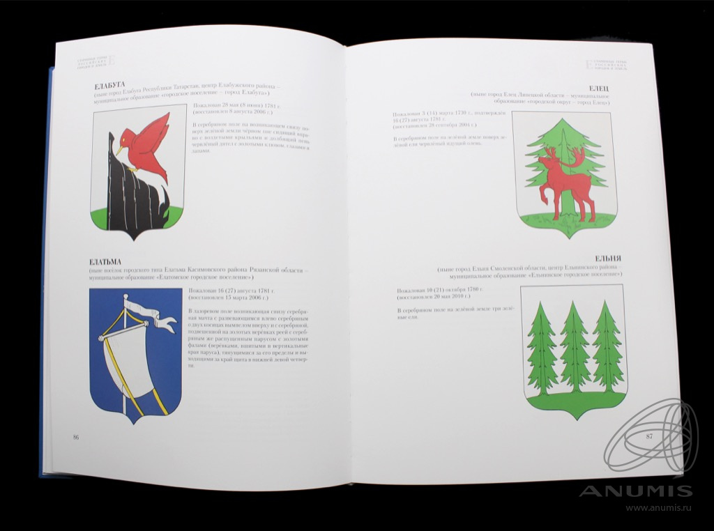 Книга русский город. Герб иллюстрация. Город и город книга.