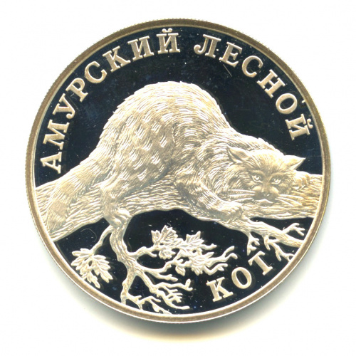 1 рубль — Амурский лесной кот 2004 СПМД. В капсуле