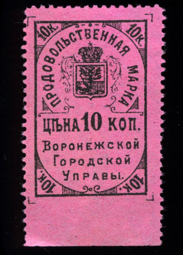 10 копеек. Воронежская Городская Управа