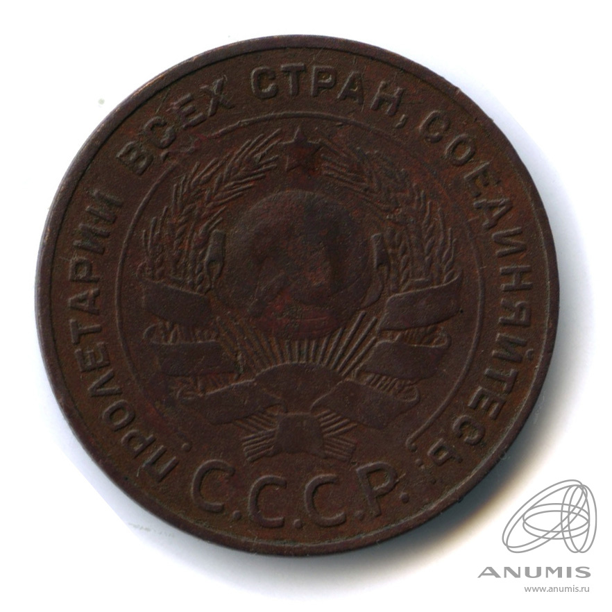5 копеек 1924 — Гурт гладкий. На Николаевском кружке. Земной шар выпуклый (Земной шар плоский)
