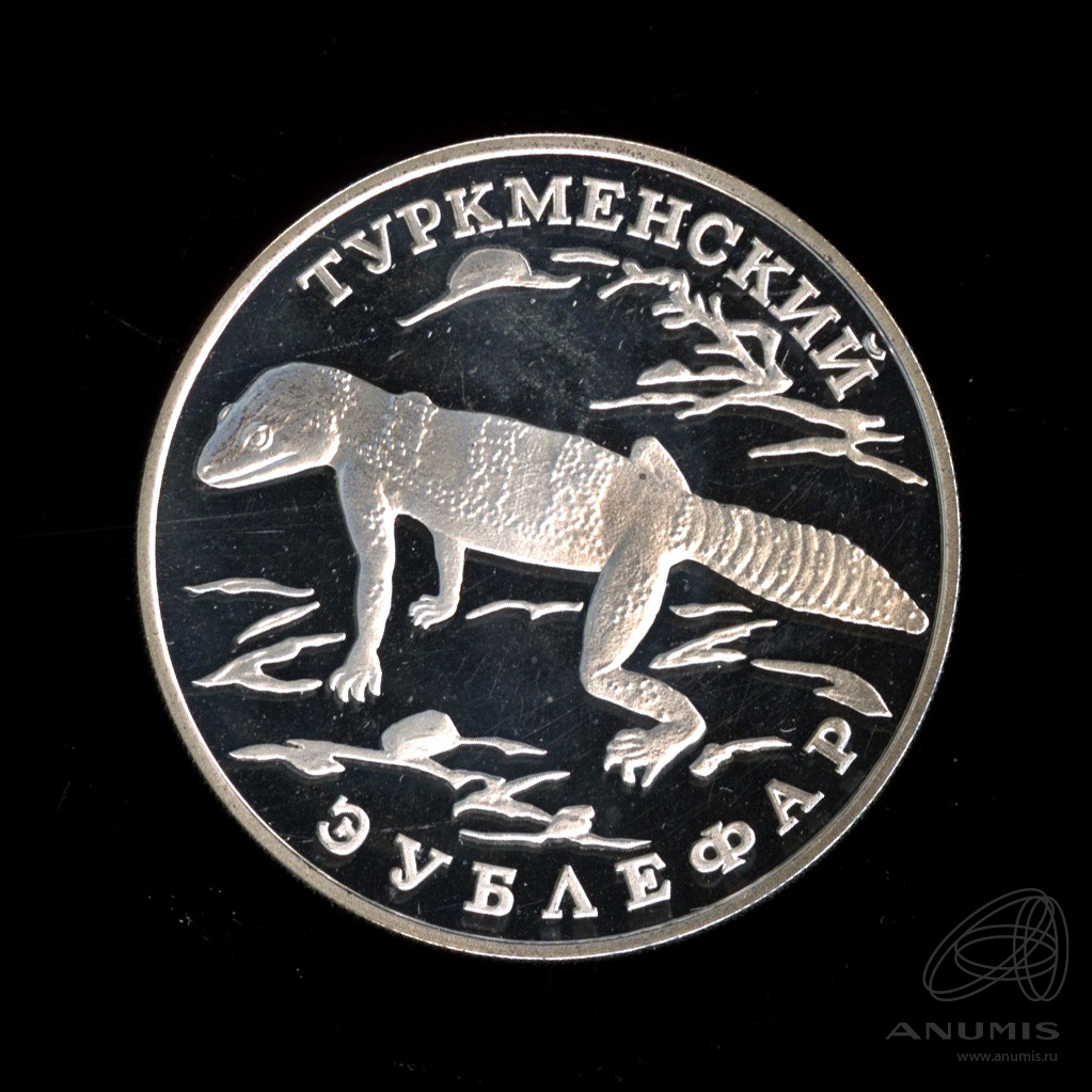 1 рубль 1996 ЛМД — Туркменский эублефар. В капсуле