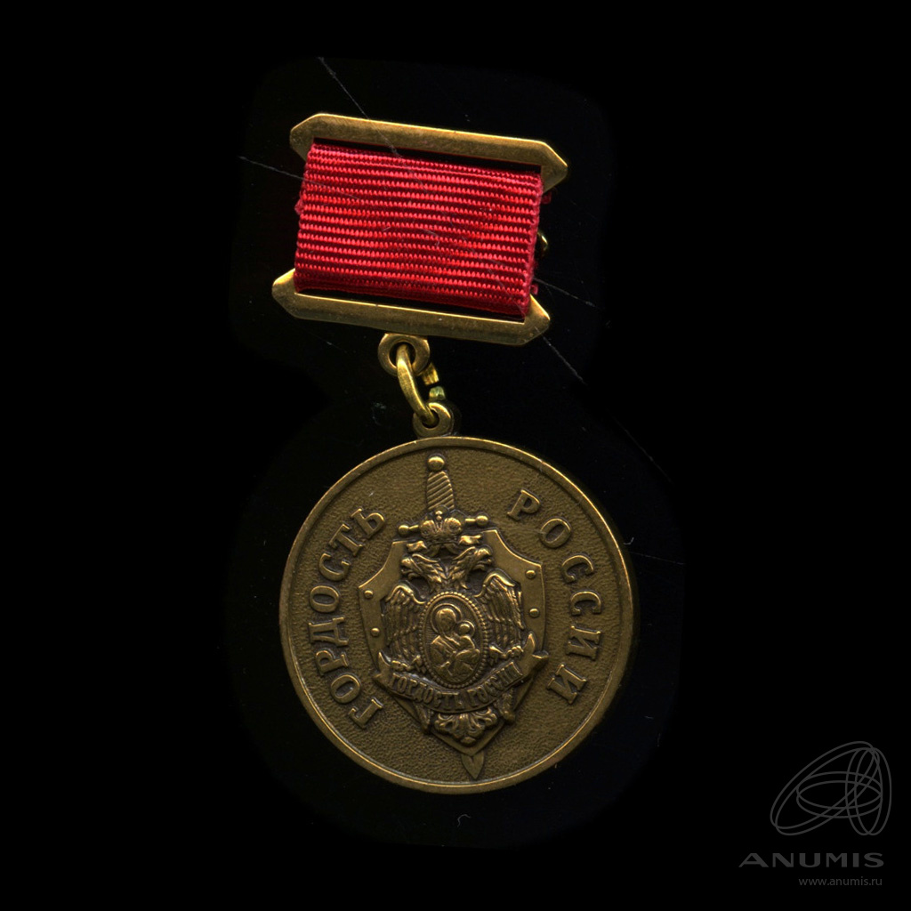 Знак «Гордость России». Крепление: булавка, Россия — Аукцион №242