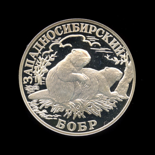 1 рубль — Западносибирский бобр 2001 СПМД. В капсуле