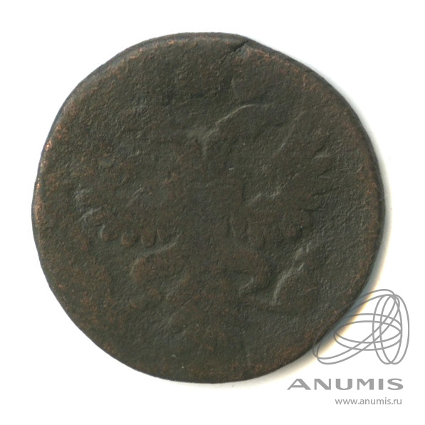 Полушка (¼ копейки) 1731 — (¼ копейки) - Орел 1730 г (Орел 1730 г.)