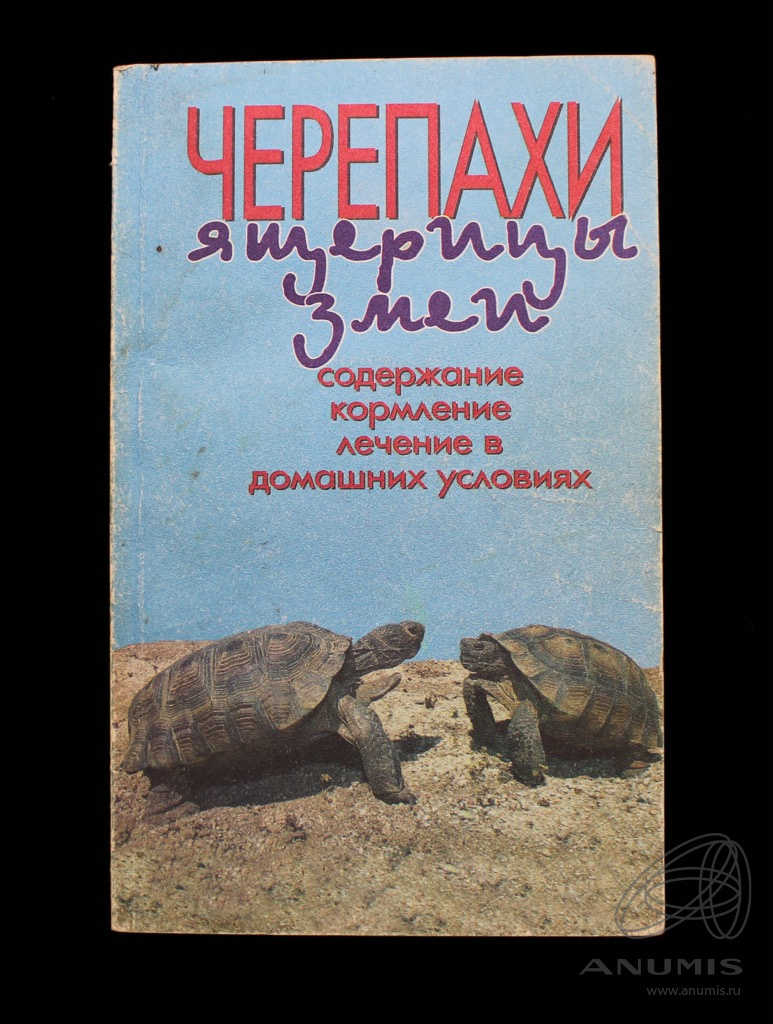 Путь черепахи книга. Книги о черепахах. Три черепахи книга. Российские ящерицы. Черепашонок коротышка книга.