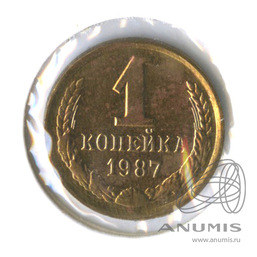 1 копейка 1987 — В холдере