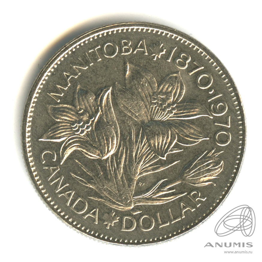 1 Доллар 1970. Доллары 1970. Доллар в 1970 году. Копия канадского никеля.