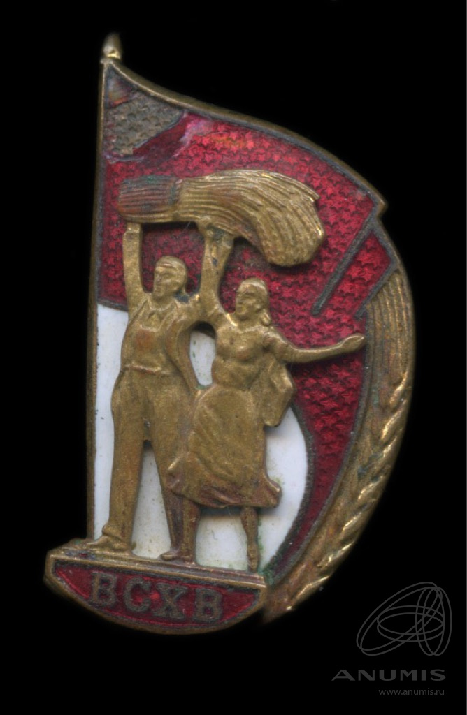 Знак «ВСХВ» Крепление: булавка Тяжелый, эмаль. СССР. Лот №5376. Аукцион ...