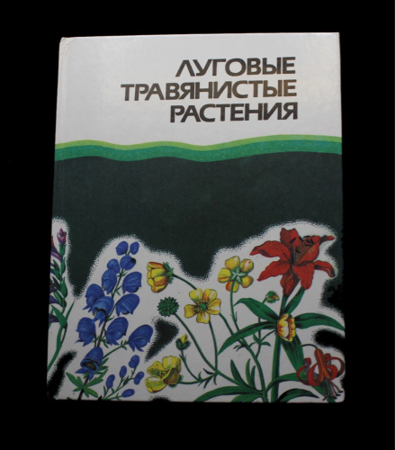 Книга «Луговые травянистые растения». Издательство «Агропромиздат», г. Москва. 181 стр. Тираж 31500 экз. С иллюстрациями 1990