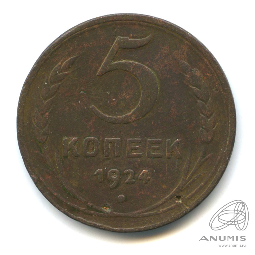 5 копеек 1924 — Гурт гладкий. На Николаевском кружке. Земной шар выпуклый (Земной шар выпуклый)