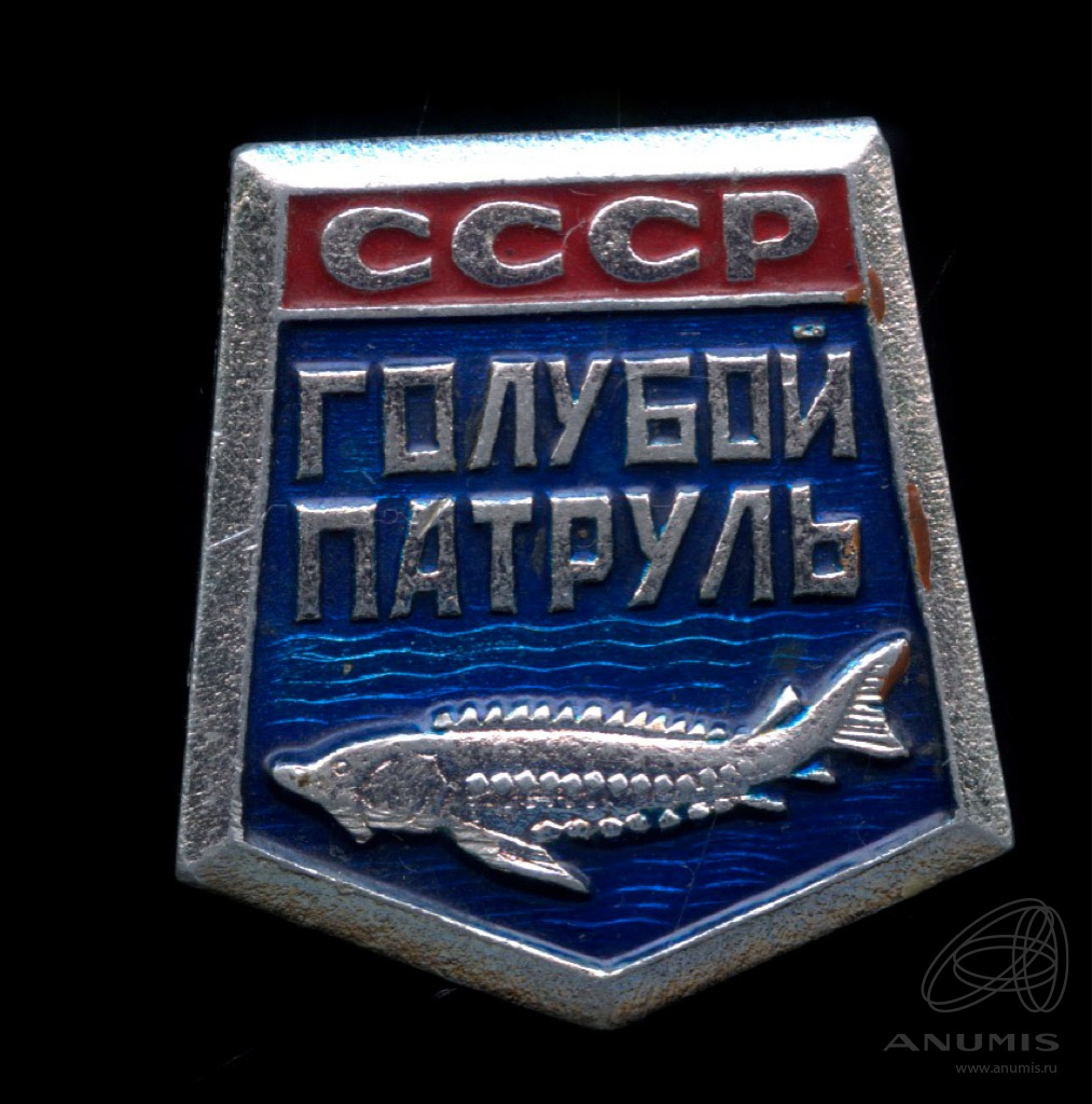 Голубой патруль в ссср