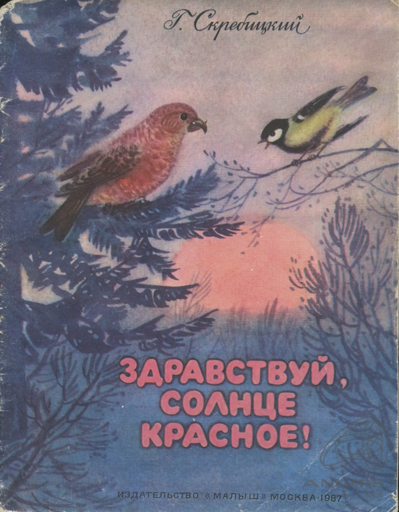 Г скребицкий у по бокам перышки. Скребицкий Здравствуй солнце красное.