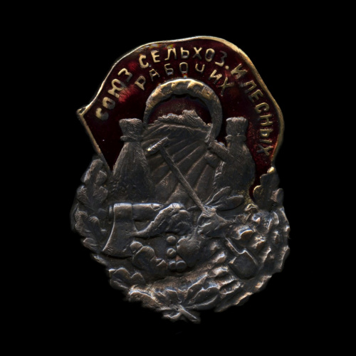 Знак «Союз сельхоз. и лесных рабочих». Крепление: винт. Эмаль. Реставрация эмали. Винт и гайка не родные 1925