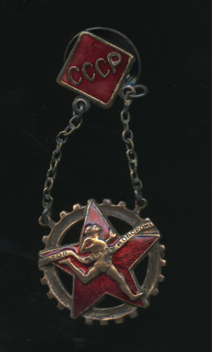 Знак «ГТО». Крепление: винт. Эмаль. Верхняя часть новодел 1936