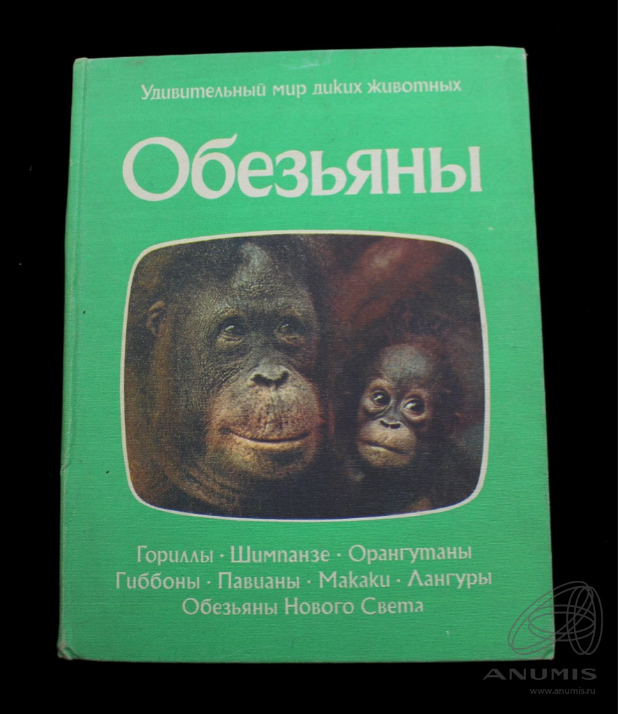 Плакат Год обезьяны H-2 - купить оптом в Украине