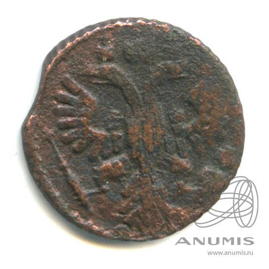Полушка (¼ копейки) 1735 — (¼ копейки) - Орел 1730 г (Орел 1730 г.)