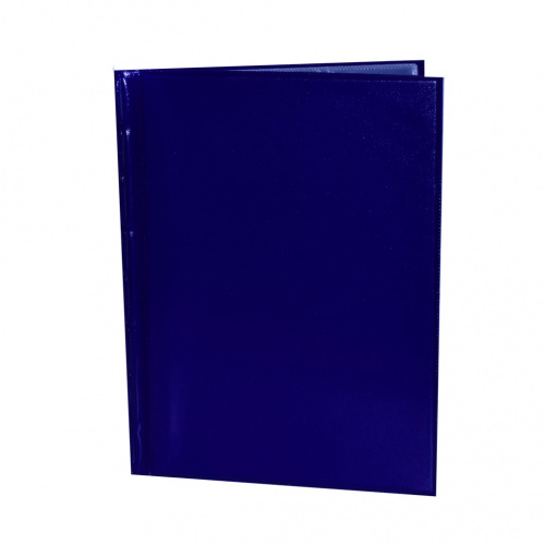Альбом для монет на 120 позиций под холдеры. 20×25,5 см. Новый