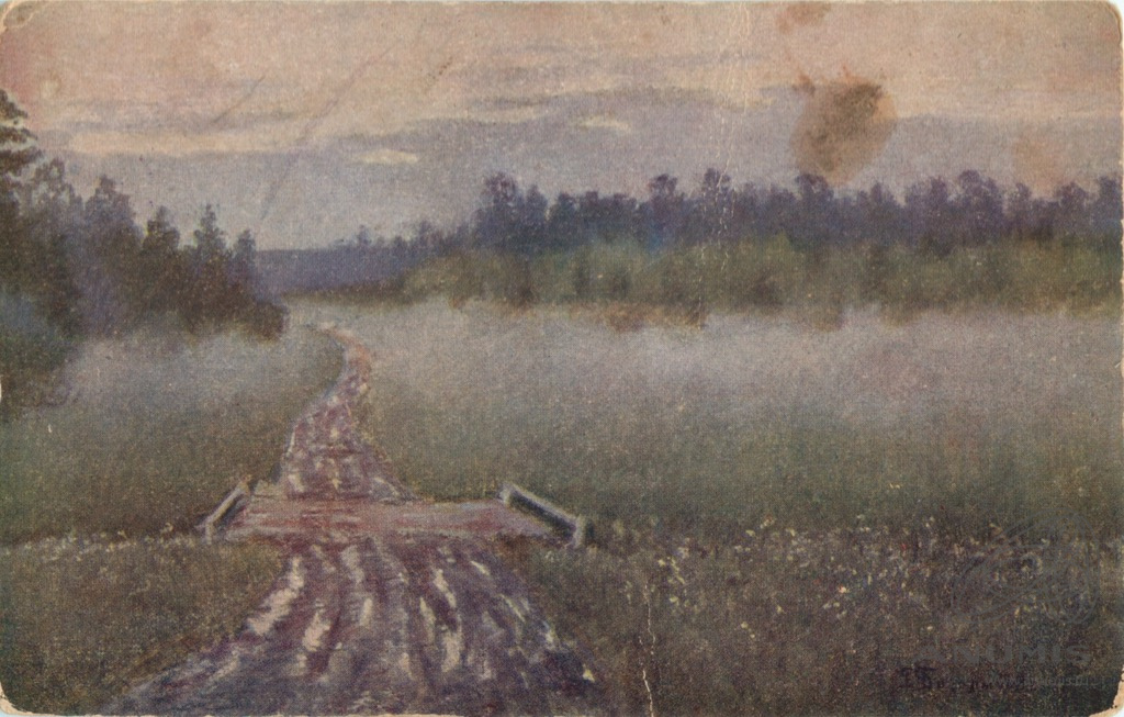 Туманы тир на. Туманы тир на. Туманы тир на. Тир в парке. Тир стрельба.