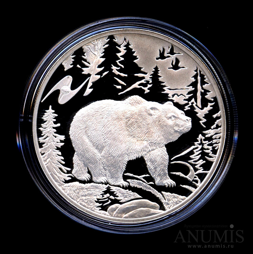 3 рубля 2009. Монета с медведем. Серебряная монета медведь. Монета медведь серебро. Монета серебро 3 рубля 2009 года медведь.
