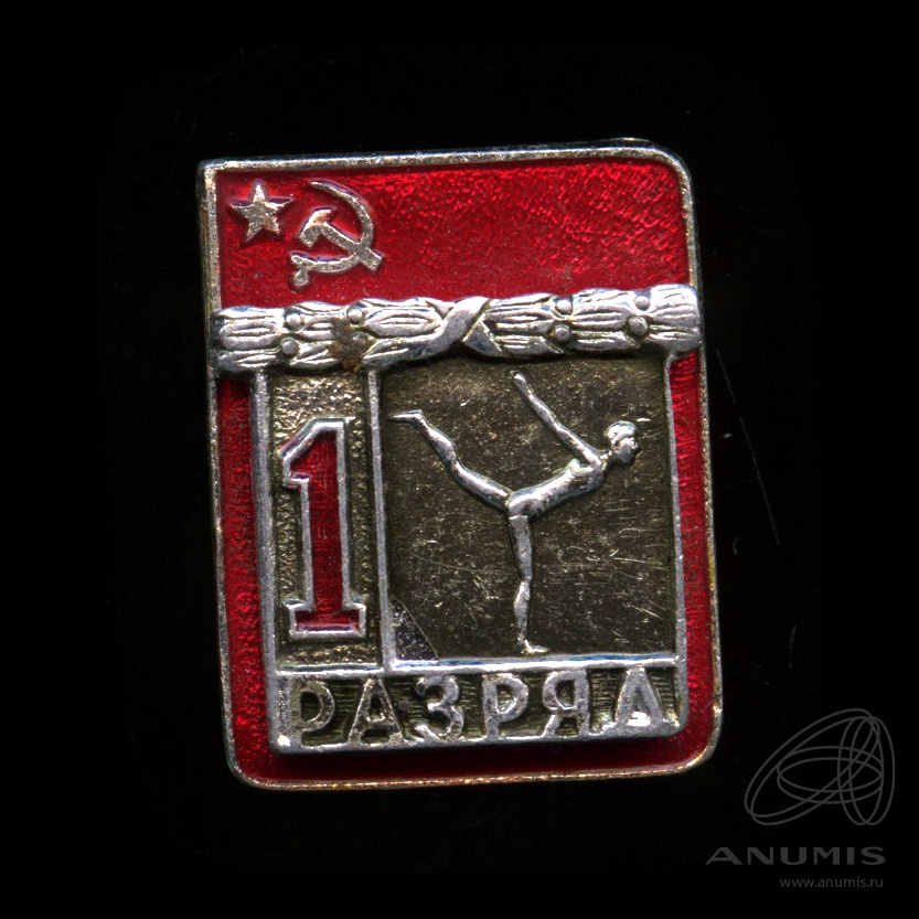 1 й спортивный разряд