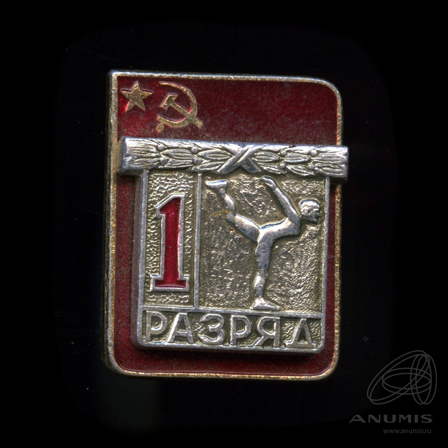 1 й спортивный разряд