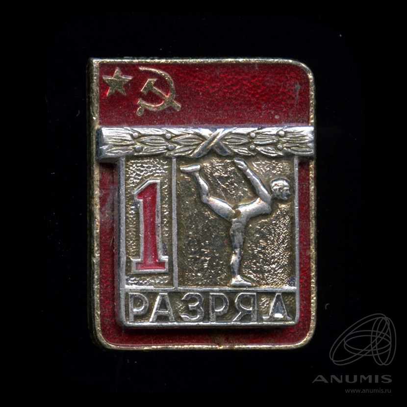 Значок 1 спортивный разряд