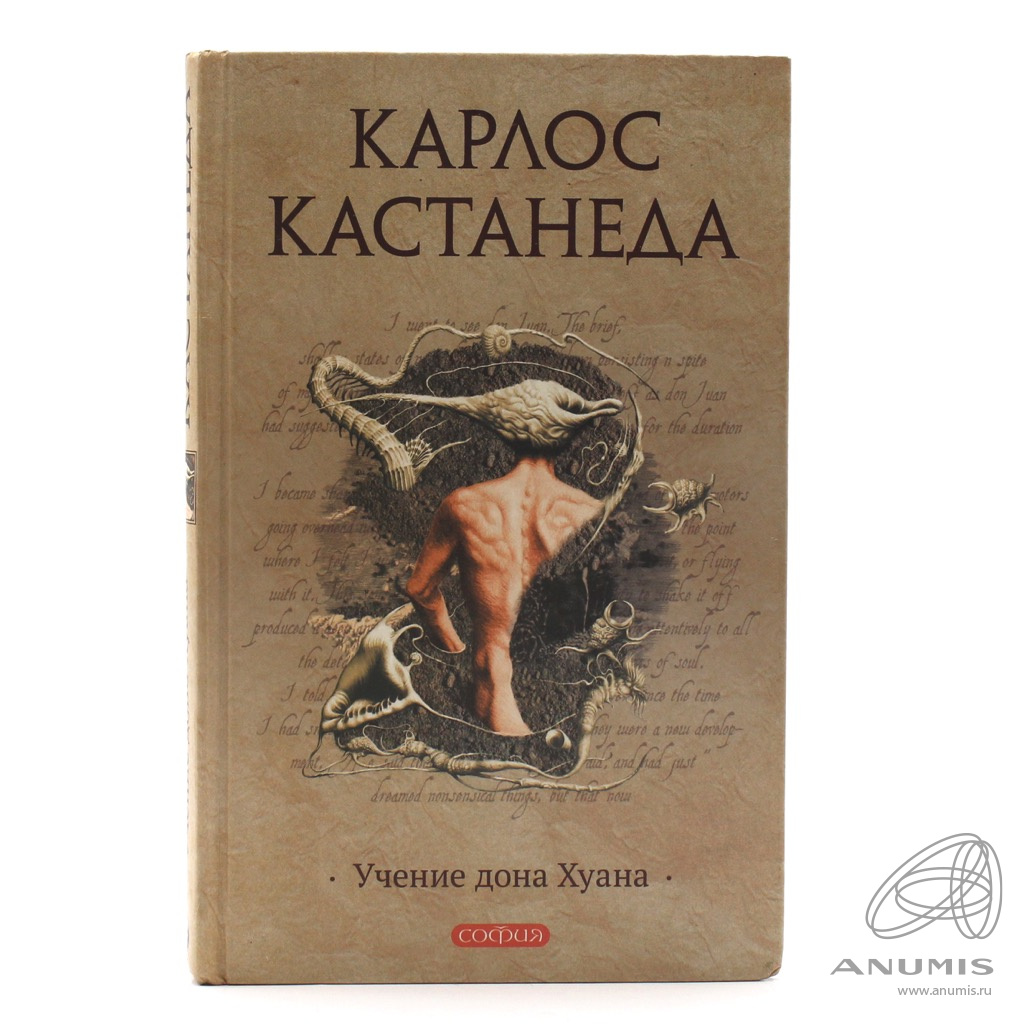 Кастанеда учение дон хуана слушать. Учение Дона Хуана. Кастанеда учение Дона Хуана. Книга учение Дона Хуана отдельная реальность.