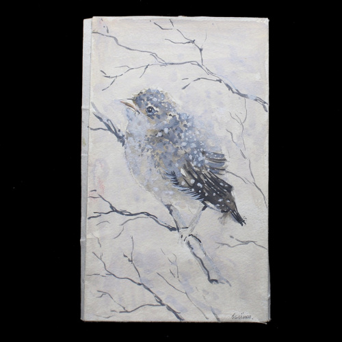 Картина «Воробей». Гуашь. Автор: Зелёная. Размер 22,5×13,5 см