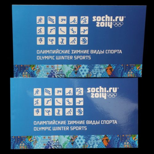 Лот почтовых блоков «Олимпийские зимние виды спорта Сочи 2014», — 2 шт. В буклетах