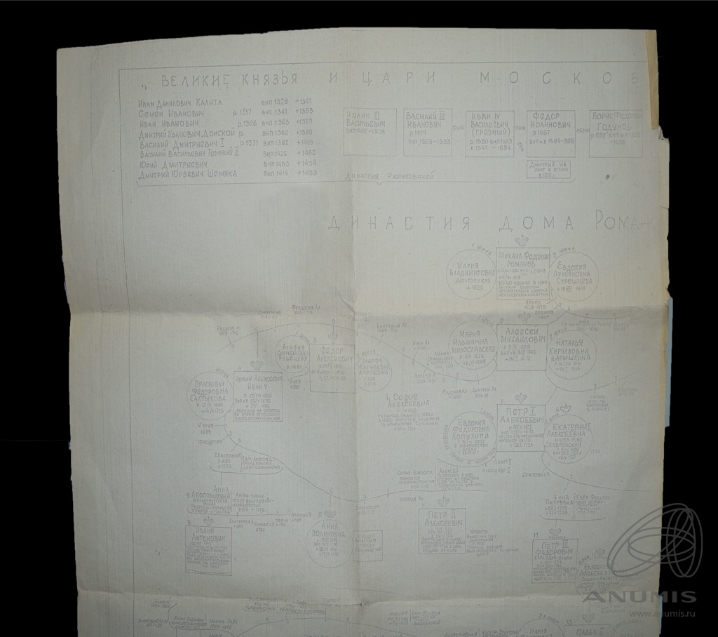 Часть архивной копии родового дерева Династии Дома Романовых Размер 60×116  см. СССР. Лот №4308. Аукцион №265. – ANUMIS
