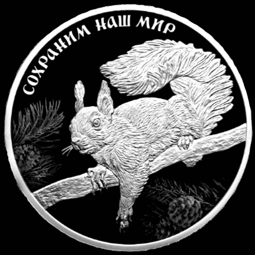 3 рубля — Белка обыкновенная — В капсуле, с сертификатом. Банковская сохранность монеты 2023 СПМД