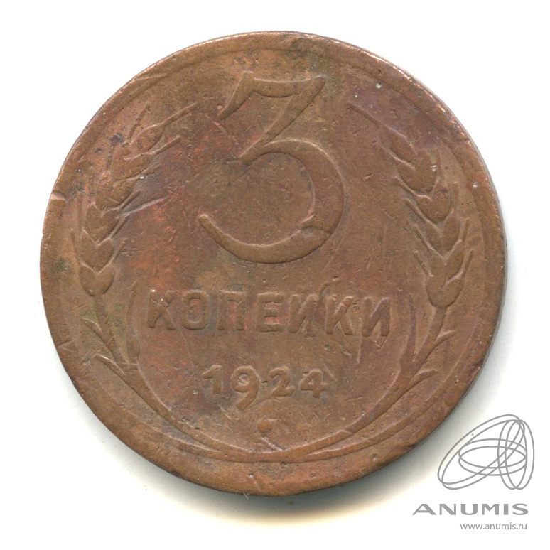 3 копейки 1924 — Гурт гладкий. На Николаевском кружке