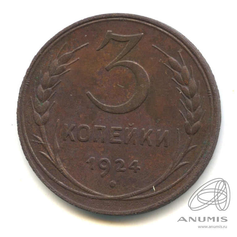 3 копейки 1924 — Гурт гладкий. На Николаевском кружке