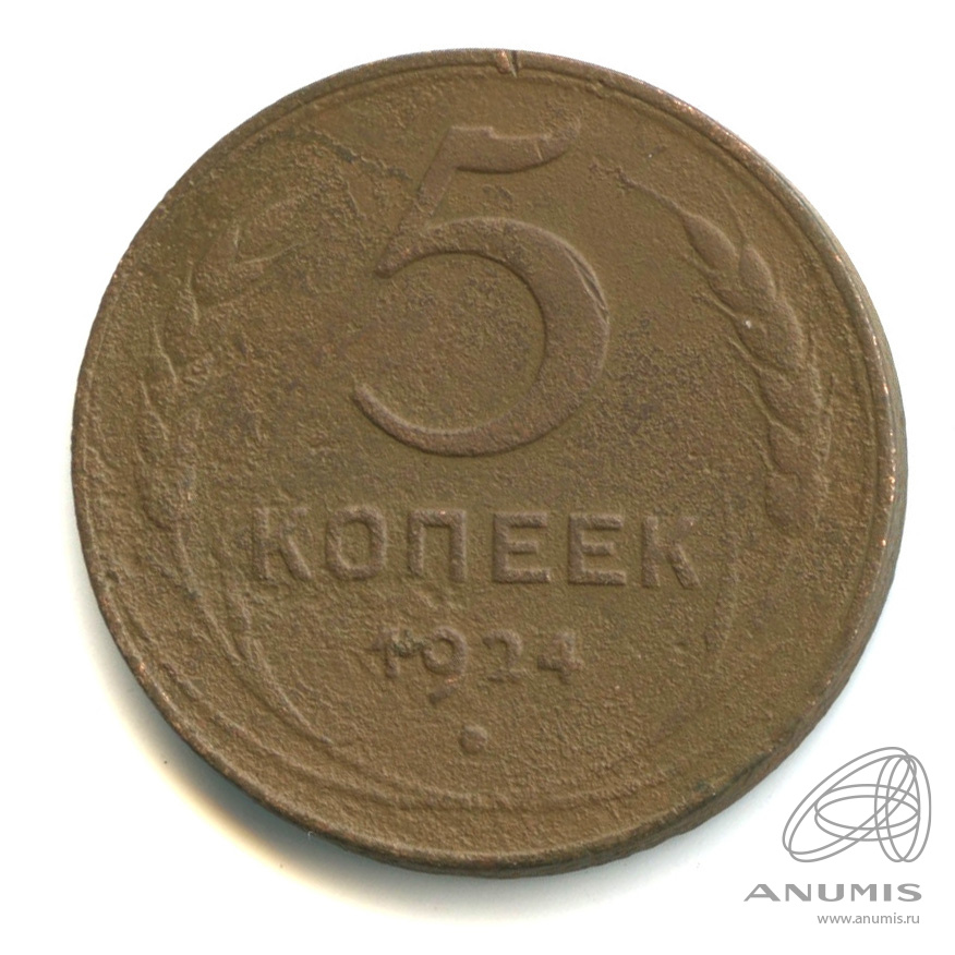 5 копеек 1924 — Гурт гладкий. На Николаевском кружке. Земной шар выпуклый (Земной шар выпуклый)