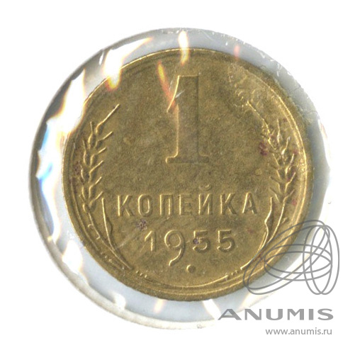 1 копейка 1955 — Венок 16 лент. В холдере