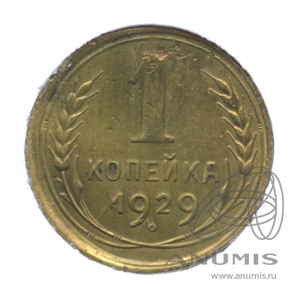1 копейка 1929 — В холдере