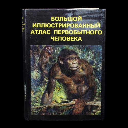 2699247.jpg