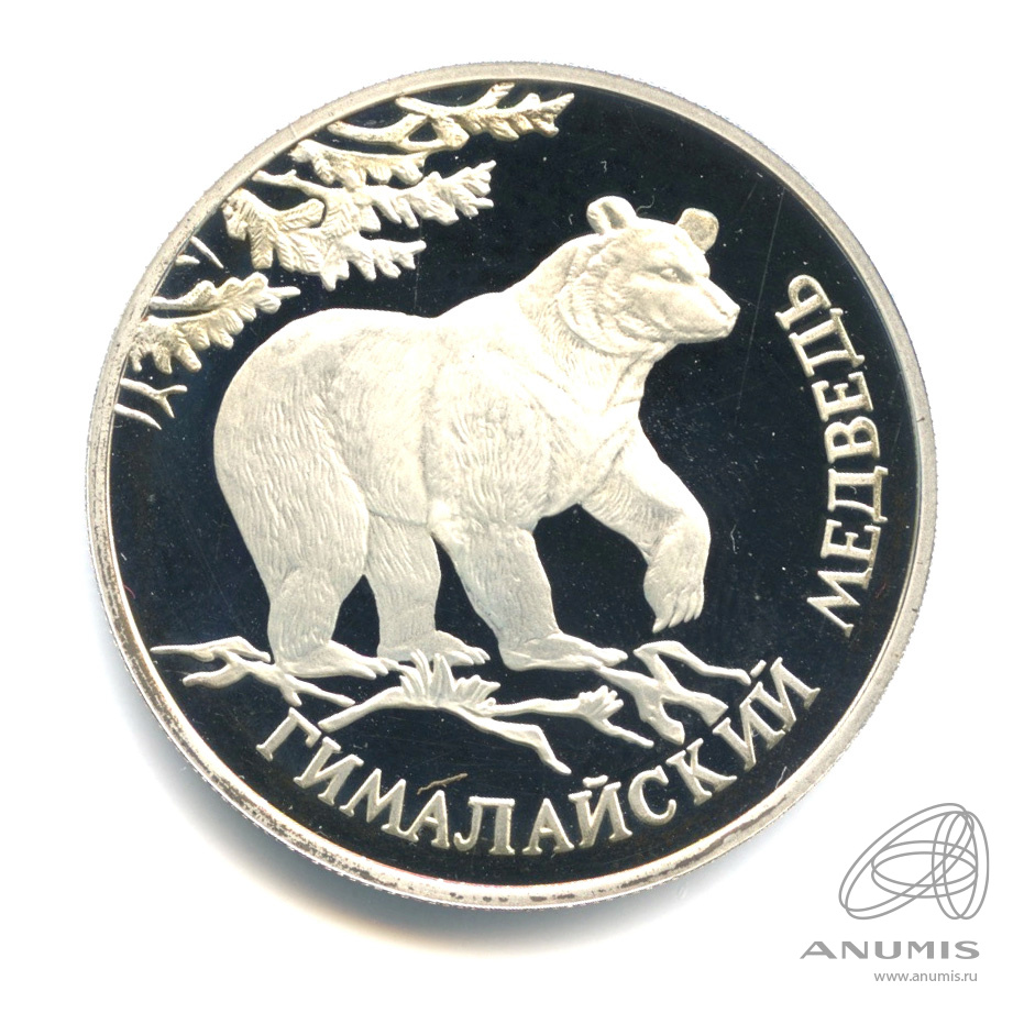 1 рубль 1994 ЛМД — Гималайский медведь