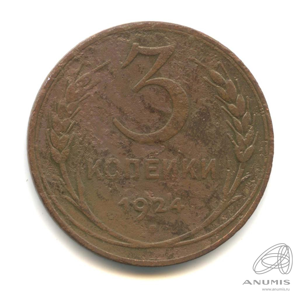 3 копейки 1924 — Гурт гладкий. На Николаевском кружке