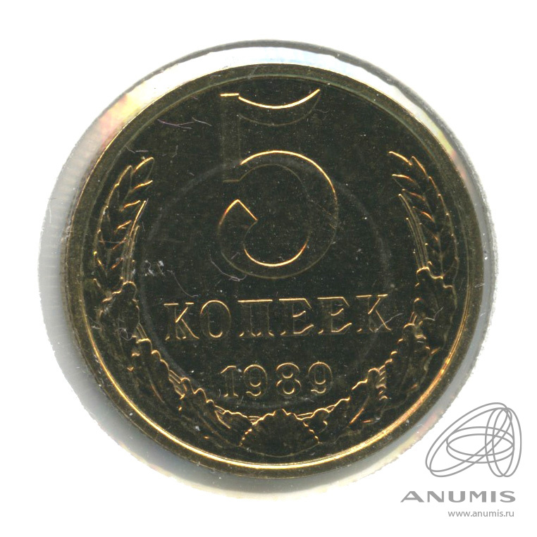 5 копеек 1989 — В холдере. шт 1.3 ММД