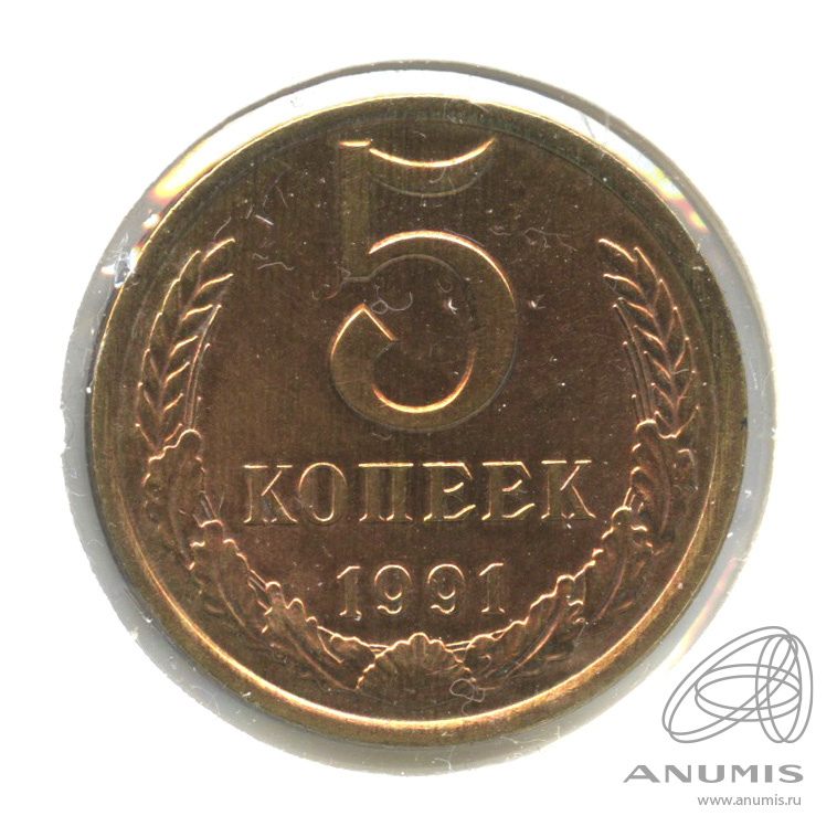 5 копеек 1991 Л — В холдере