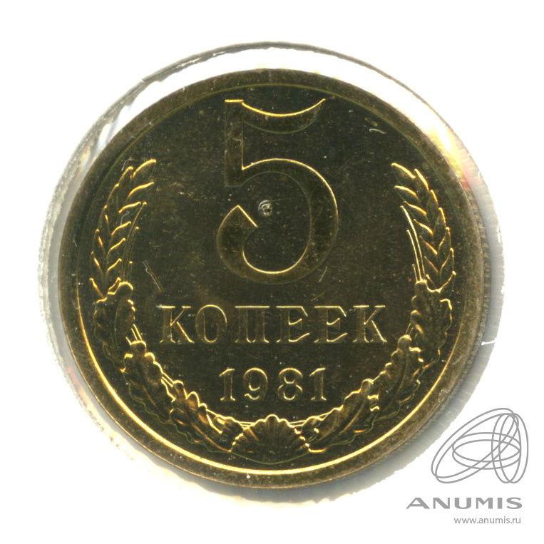 5 копеек 1981 — В холдере. шт. 3.1Б