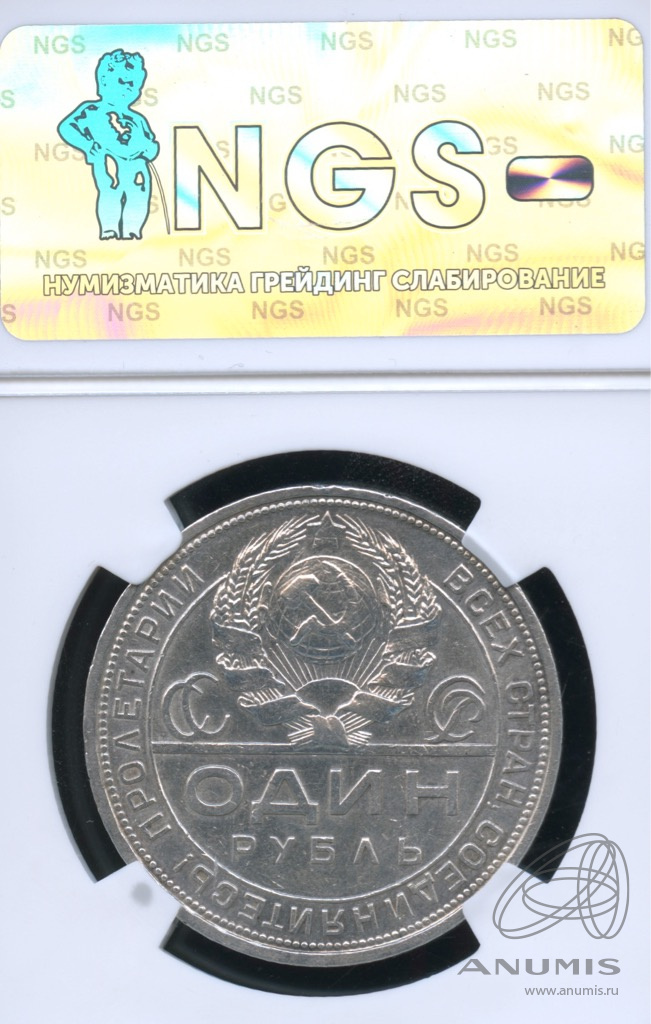 1 рубль 1924 ПЛ — Рабочий и колхозник. В слабе. шт. 1.1 (AU 53)