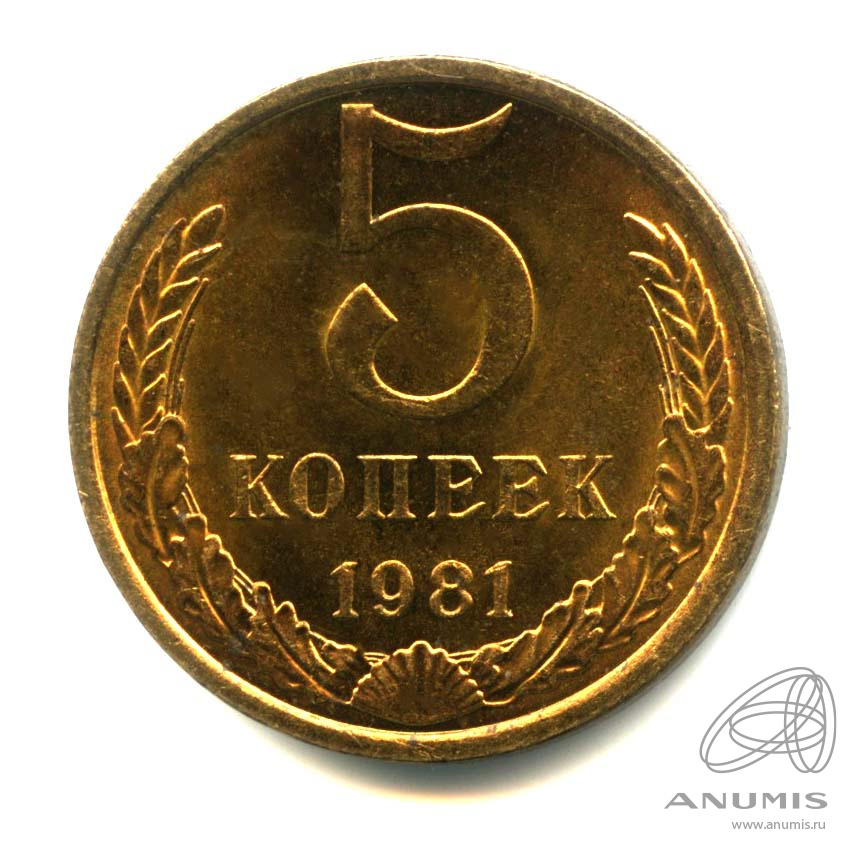 5 копеек 1981 — Оригинальный штемпельный блеск