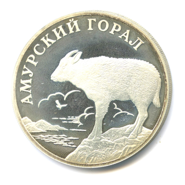 1 рубль — Амурский горал 2002 СПМД