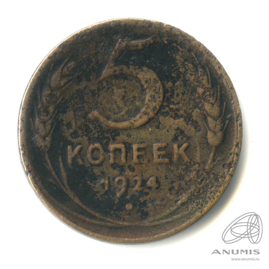 5 копеек 1924 — Гурт гладкий. На Николаевском кружке. Земной шар выпуклый (Земной шар выпуклый)